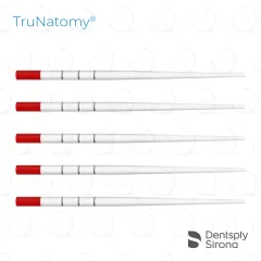 TruNatomy® Paper Points, Prime (180)