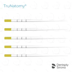 TruNatomy® Paper Points, Small (180)