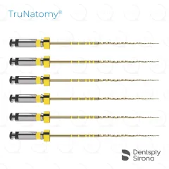 TruNatomy® Small 20/.04v, 31mm (6)
