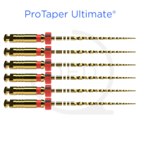 ProTaper Ultimate™ F2 21mm (6)