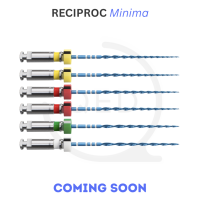 RECIPROC® Minima AST|21mm (6)