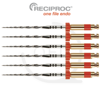 RECIPROC® R25|21mm (6)
