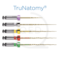 TruNatomy® Assortment 31mm (5)