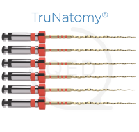 TruNatomy® Prime 31mm 026|.04v (6)