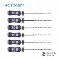 ReadySteel® Hedstroem 10, 31mm (6)