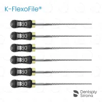 ReadySteel® K-FlexoFile® 80, 31mm (6)
