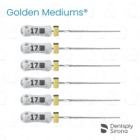 ReadySteel® K-FlexoFile® Golden Mediums® 17, 25mm (6)