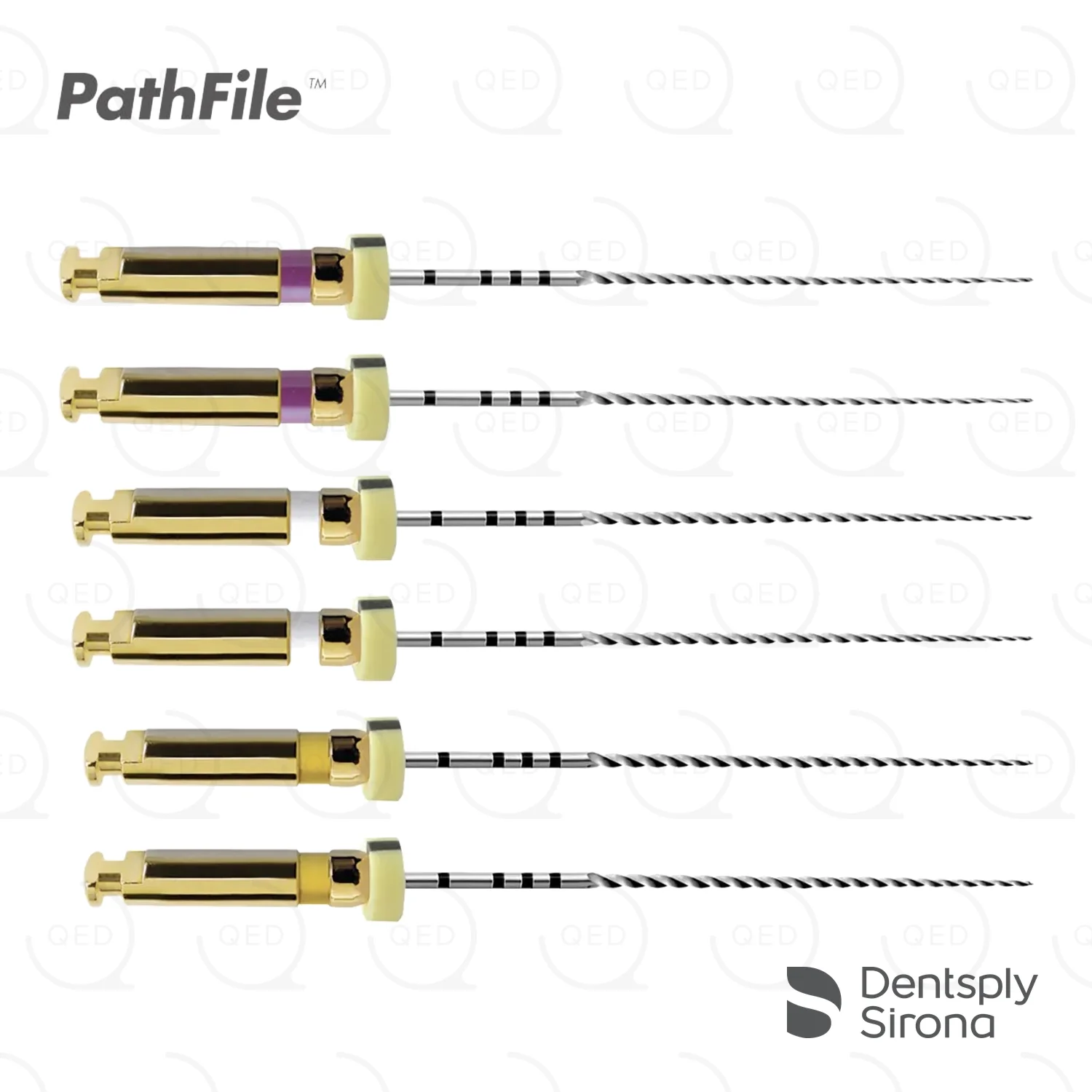 PathFile™ Assorted Sizes, 31mm (6)