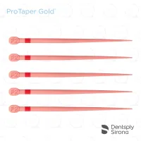 ProTaper Gold® Conform Fit® Gutta Percha, F2 (60)