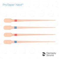 ProTaper Next® Conform Fit® GP, X2-X3 Assorted (60)