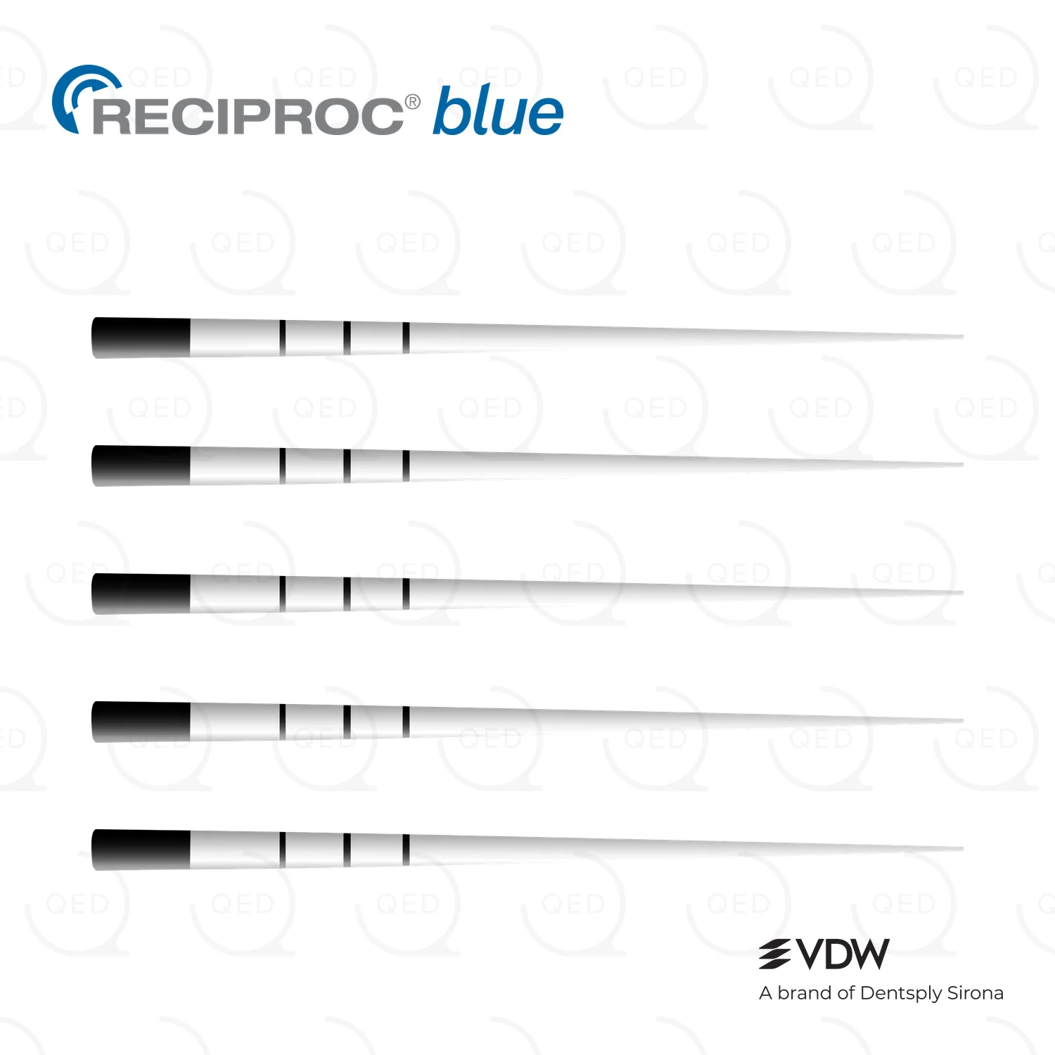 RECIPROC® blue Paper Points R40 (180)