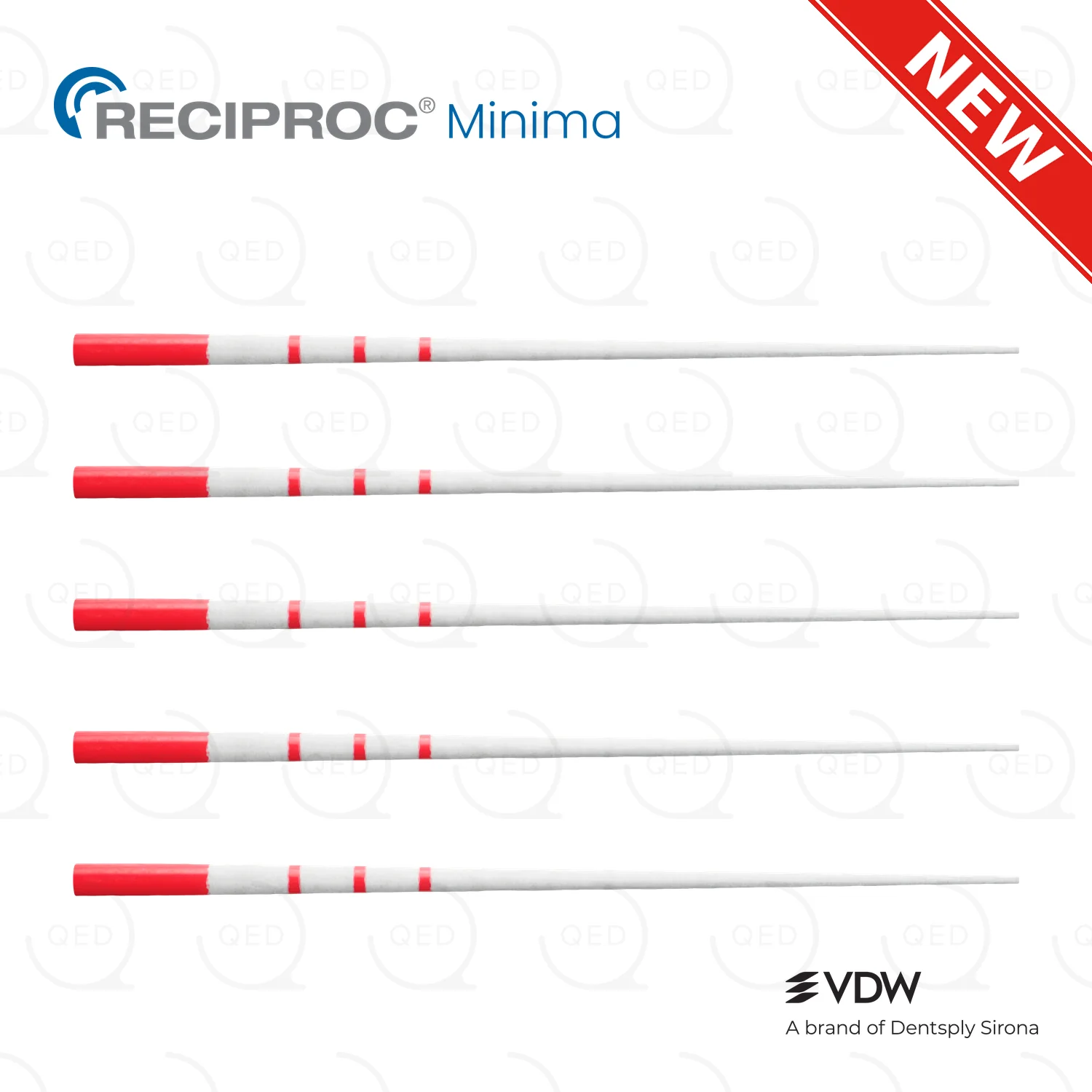 RECIPROC® Minima Paper Point R25 (180)
