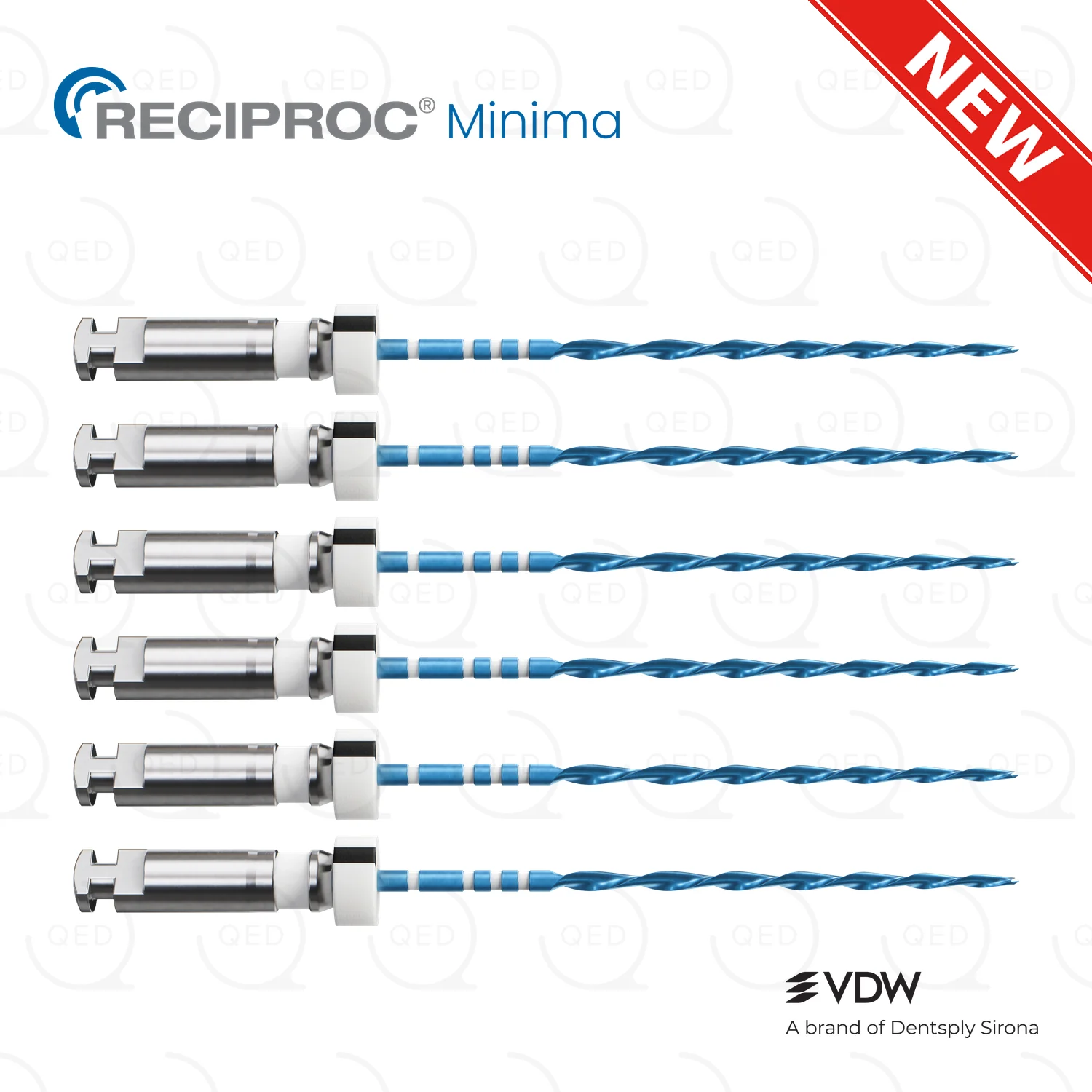 RECIPROC® Minima R45|31mm (6)