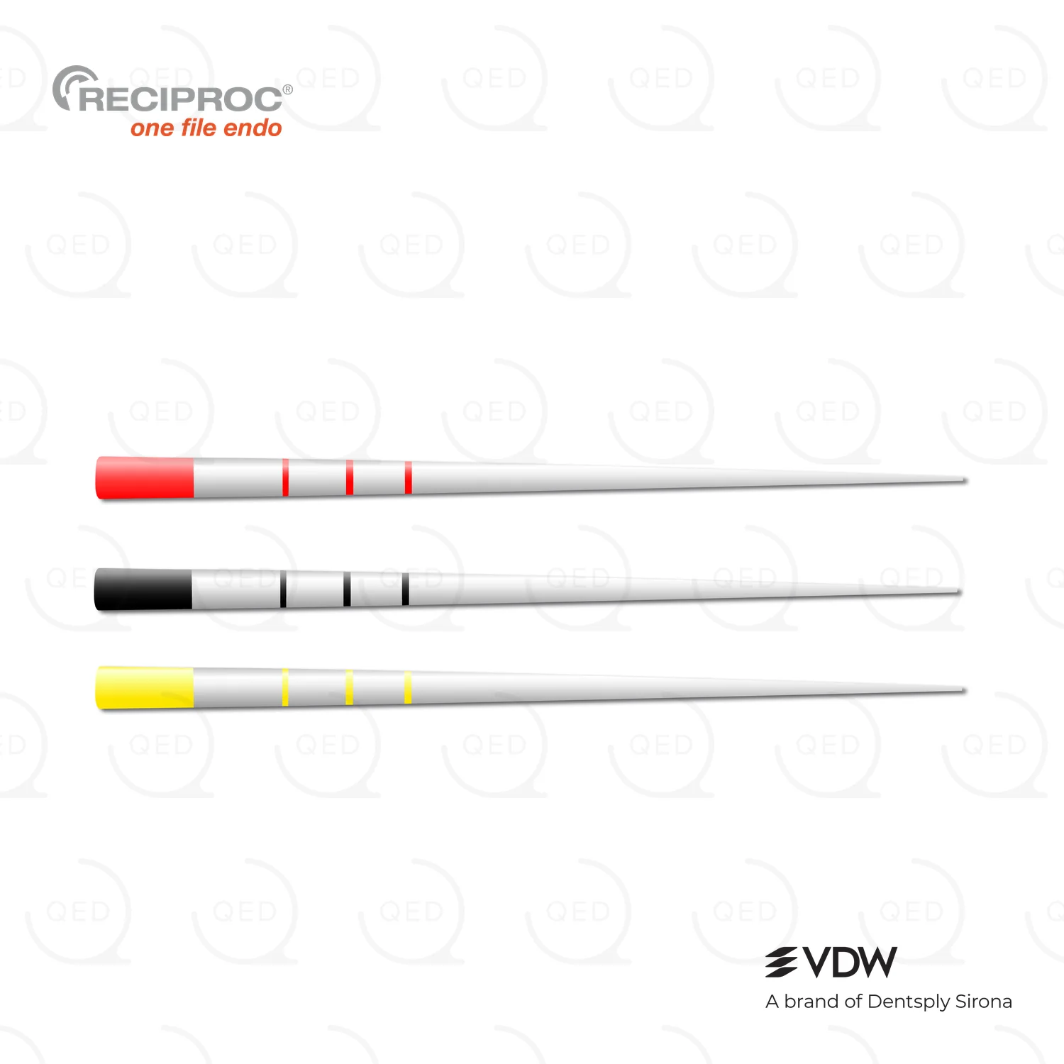 RECIPROC® Paper Points Ass (144)