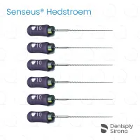 ReadySteel® Senseus® Hedstroem 10, 25mm (6)