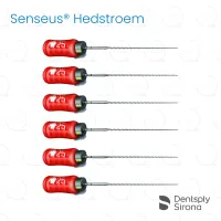 ReadySteel® Senseus® Hedstroem 25, 25mm (6)