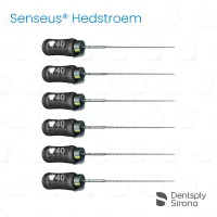 ReadySteel® Senseus® Hedstroem 40, 25mm (6)