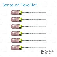 ReadySteel® Senseus® FlexoFile® 06, 21mm (6)