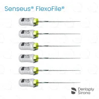 ReadySteel® Senseus® FlexoFile® 15, 31mm (6)