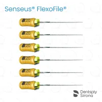ReadySteel® Senseus® FlexoFile® 20, 21mm (6)