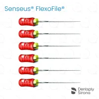 ReadySteel® Senseus® FlexoFile® 25, 21mm (6)