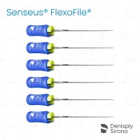ReadySteel® Senseus® FlexoFile® 30, 21mm (6)