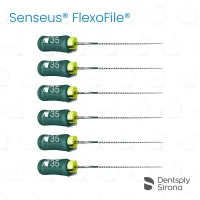 ReadySteel® Senseus® FlexoFile® 35, 31mm (6)