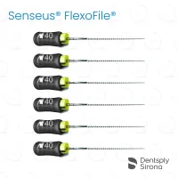ReadySteel® Senseus® FlexoFile® 40, 31mm (6)