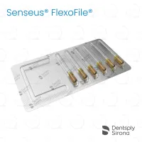 ReadySteel® Senseus® FlexoFile® 50, 25mm (6)