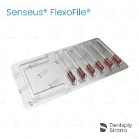 ReadySteel® Senseus® FlexoFile® 55, 25mm (6)