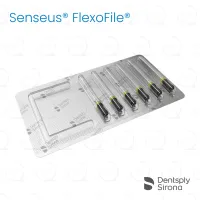 ReadySteel® Senseus® FlexoFile® 80, 21mm (6)