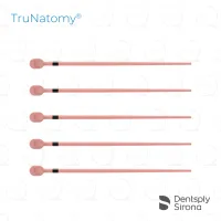 TruNatomy® Conform Fit® Gutta Percha, Large (60)