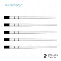 TruNatomy® Paper Points, Large (180)