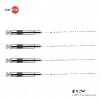 VDW Sterile Root Filler "L" Size 40 25mm (4)