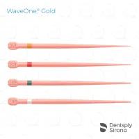 WaveOne® Gold Conform Fit® Gutta Percha, Assorted (60)