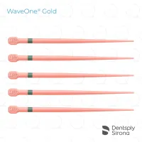 WaveOne® Gold Conform Fit® Gutta Percha, Medium (60)