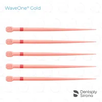 WaveOne® Gold Conform Fit® Gutta Percha, Primary (60)